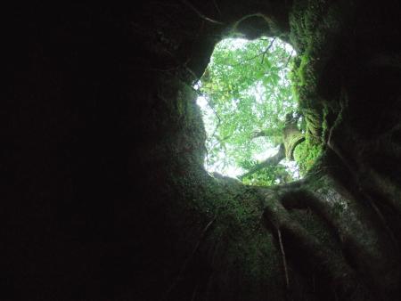 2007年11月9日屋久島の説明6