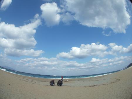 2007年11月9日屋久島の説明8