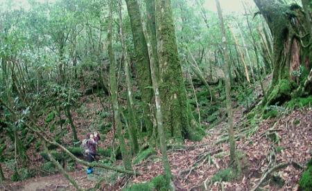 2008年9月4日屋久島の説明5