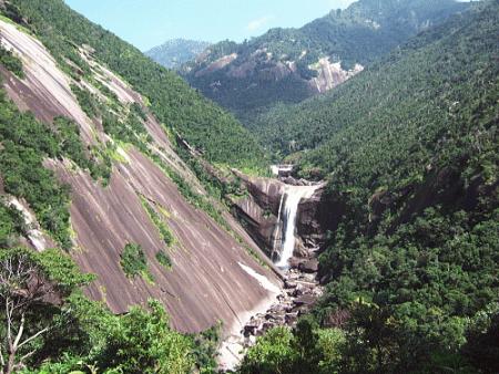 2008年9月4日屋久島の説明8