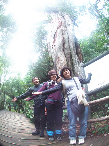 2007年11月9日屋久島の説明15